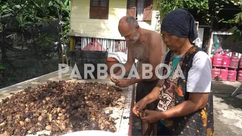 Thomas dan Ratnauli Gultom Tinggalkan Gemerlap Kota, Temukan Makna Kehidupan di Tepi Danau Toba