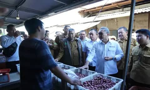 Mendag Zulhas Ungkap Penyebab Harga Bapok Murah di Sambas