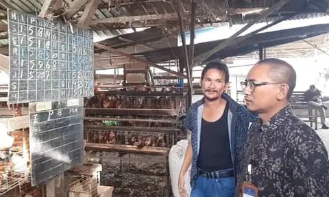 Terkini ! Harga Telur Ayam di Medan Tembus Rp1.900 per Butir