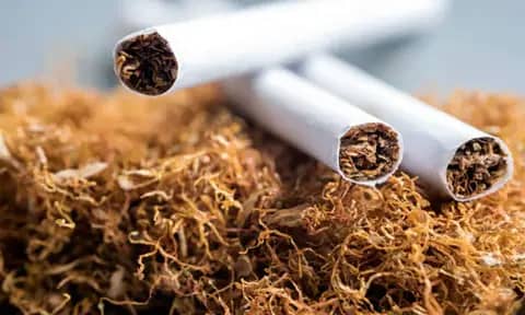 Sebabkan 8 Juta Kematian per Tahun, WHO Desak Dunia Hentikan Subsidi Pertanian Tembakau
