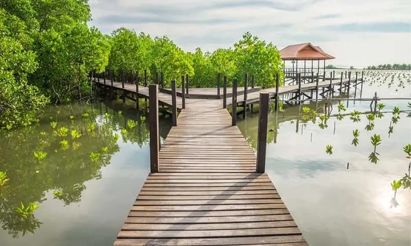 Healing Liburan (foto: bodrex)