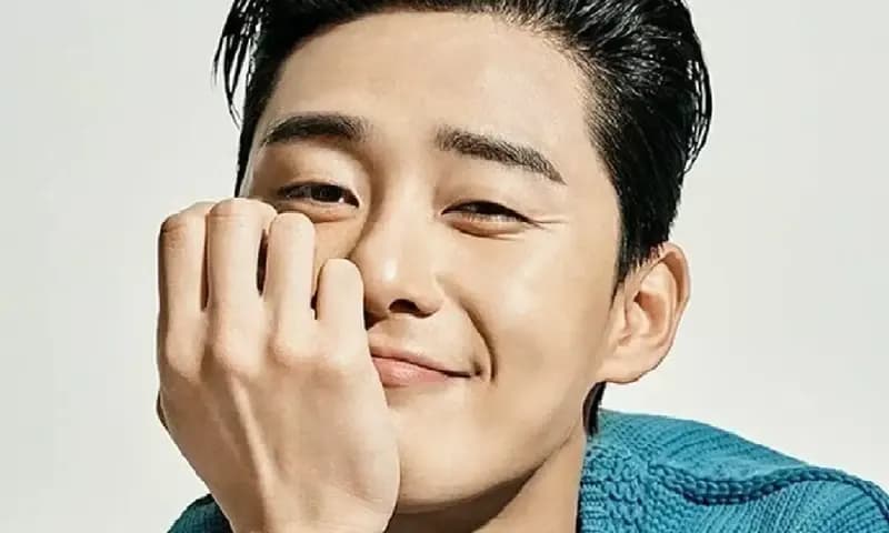 Park Seo Joon (Foto : pinterest.com)