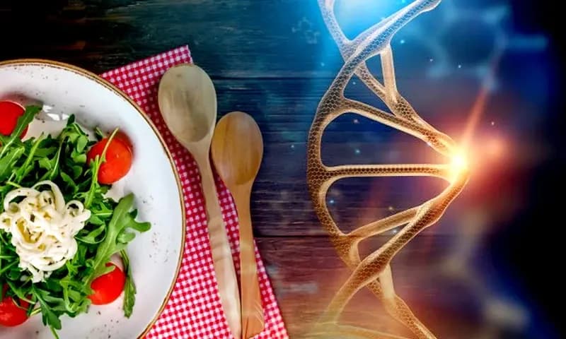 Diet DNA (Foto: Parboaboa/Felix)