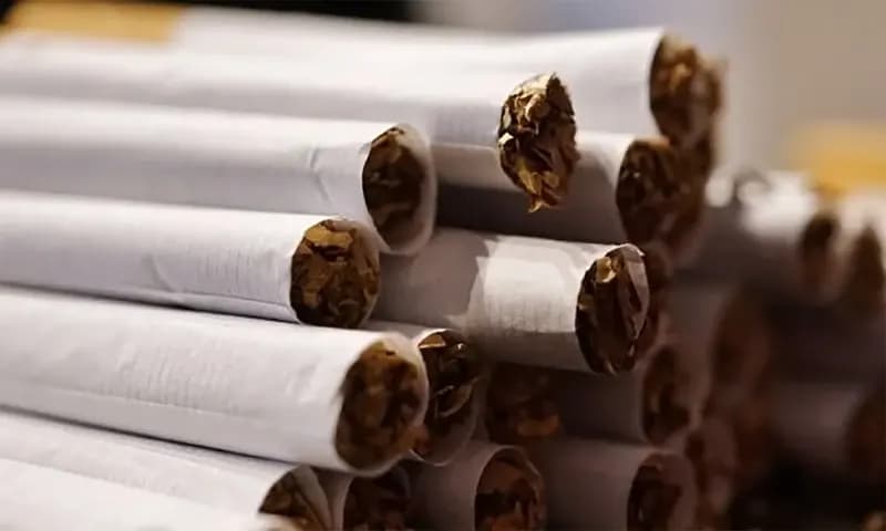 Kenaikan cukai pimucu peredaran rokok Ilegal, Apa Solusi dari Pemerintah? (Foto: Suara)