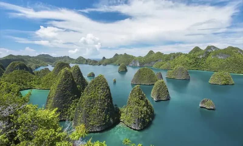 Panorama wisata Raja Ampat yang kini tercemar karena proyek pertambangan nikel (Foto: dok. Pesona Indonesia)