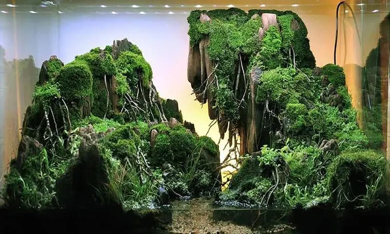 Tema Aquascape (Foto: Pinterest @reginanickerson)