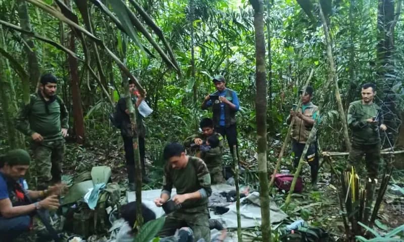 Empat anak kecil telah ditemukan selamat setelah lebih dari s40 hari bertahan hidup di hutan Amazon usai pesawat yang mereka tumpangi jatuh pada 1 Mei 2023 lalu. (Foto: Twitter/@FuerzasMilCol)