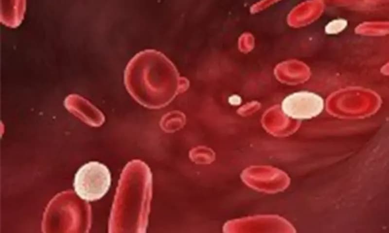 Kode ICD 10 Anemia Gravis untuk Pcare BPJS (Dok. detikHealth)