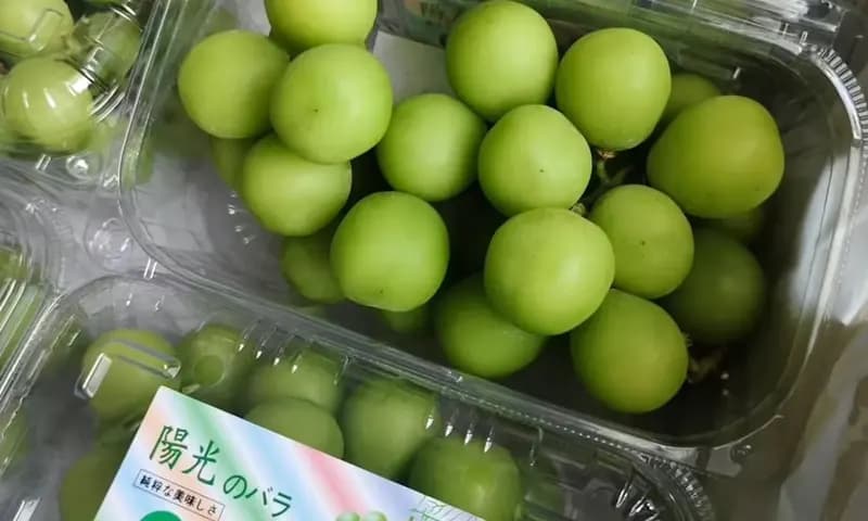Gambar Anggur Shine Muscat (Foto: Instagram/@themarypoppyfruit)