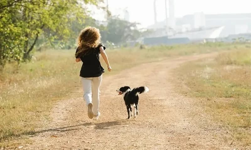 Beberapa arti mimpi dikejar anjing (Foto: theasianparent.com)