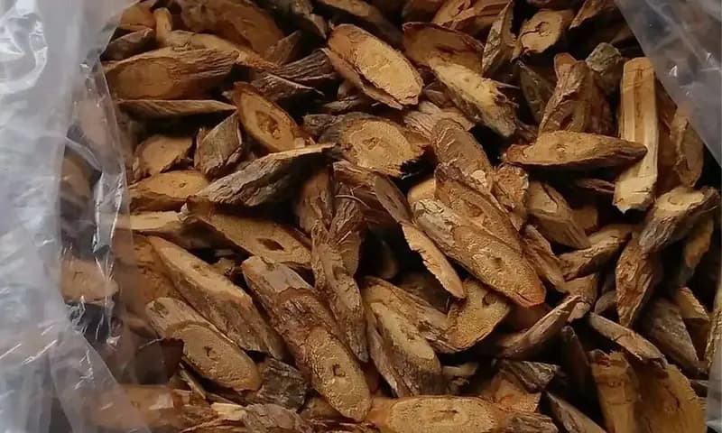 Manfaat kayu bajakah (Foto: Instagram/@storeiconic)