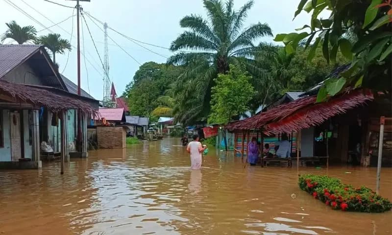 Banjir bandang menerjang wilayah Tapanuli Tengah (Tapteng) dan Sibolga sejak Minggu (23/11/2025) (Foto: FB/@Donal Panggabean)