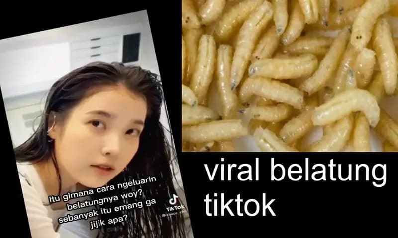 Video Belatung Viral di TikTok