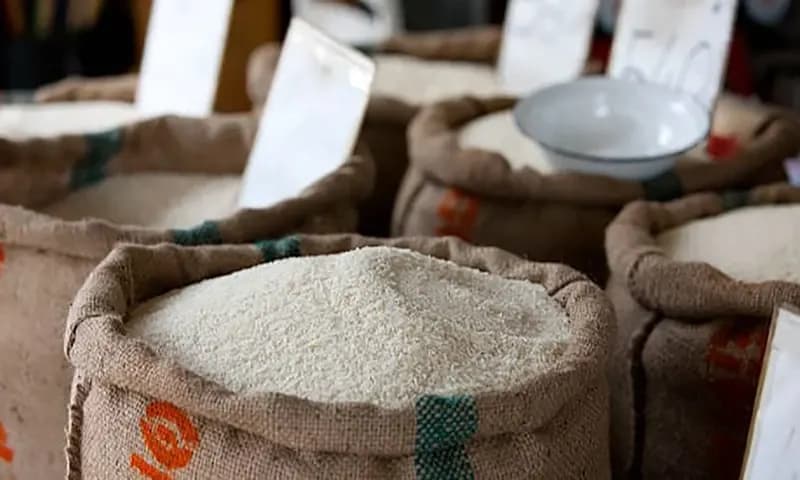 Pasokan beras untuk masyarakat akan tetap aman hingga akhir tahun 2023. (Foto: Pixabay)