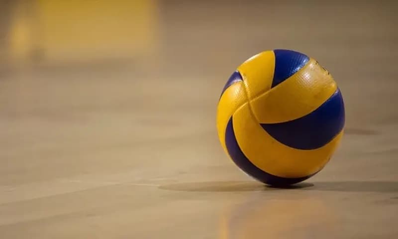 Sejarah Perkembangan Bola Voli di Dunia dan di Indonesia (Dok: tirta.id)