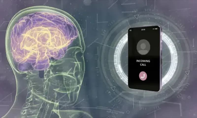 Banyak pengguna media sosial kini terpapar Brain Rot atau penurunan fungsi kerja otak. (Foto: Unsplash)