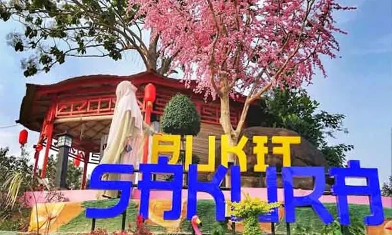 Bukit Sakura Lampung (Foto: Google Maps/Gatot Gadensa)