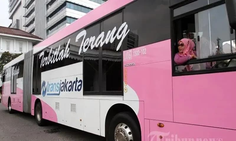 Bus pink Transjakarta khusus penumpang wanita (Foto: Tribunnews/Irwan Rismawan)