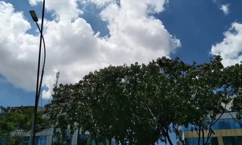 Badan Meteorologi, Klimatologi, dan Geofisika memprediksi seluruh wilayah DKI Jakarta akan cerah pada Sabtu (10/06/2023) pagi. (Foto: Parboaboa/RIni)
