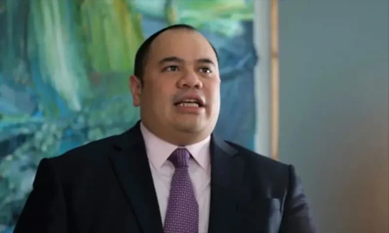 Chief Investment Officer (CIO) Danantara, Pandu Sjahrir. (Foto: ANTARA)