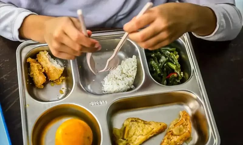 Pemerintah berencana mengalokasikan dana Makan Bergizi Gratis (MBG) yang tak terserap untuk peremajaan kelapa dan kakao (Foto: dok. Antara)