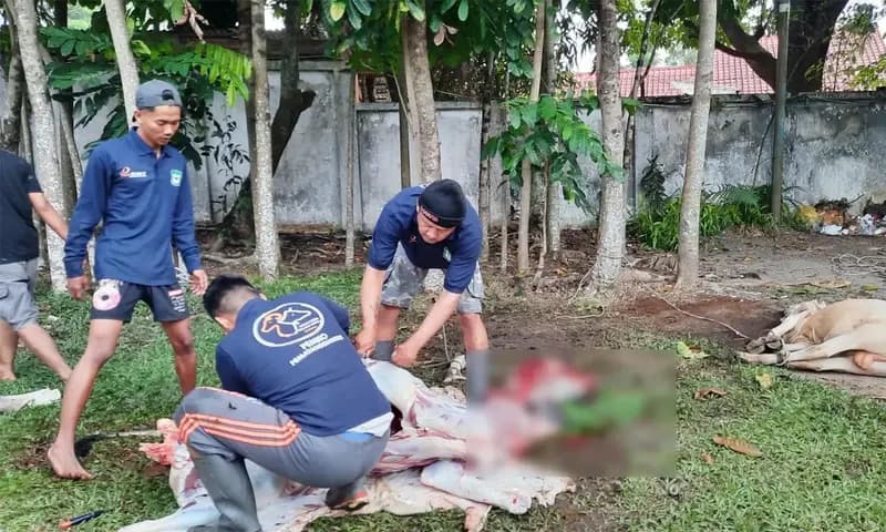Doa menyembelih hewan kurban (Foto: Parboaboa/Lamsari)