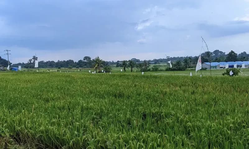 BPBD Kota Pematang Siantar lakukan sinergi bersama dengan dinas terkait untuk mengantisipasi dampak El Nino. (Foto: PARBOABOA/Calvin Siboro)