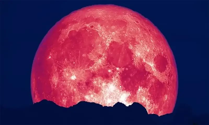 Ilustrasi fenomena Strawberry Moon (Dok: mirror.co.uk)
