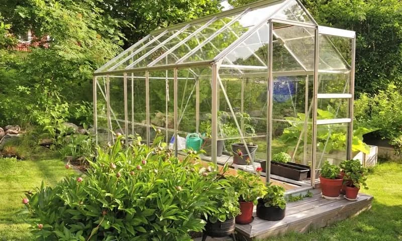 Desain green house, foto: Pinhome