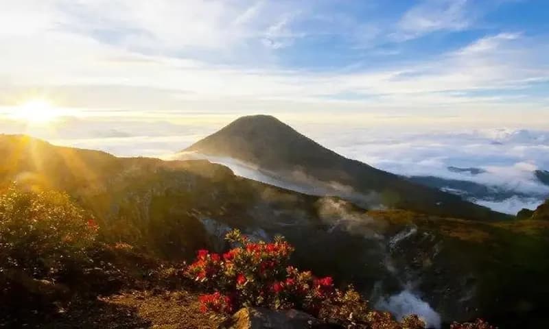 Gunung di Bogor/ Gunung Gede, foto: TribunWiki