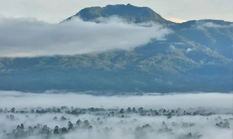 Gunung di Lampung/Gunung Pesagi, foto: Instagram.com/endangguntorocanggu