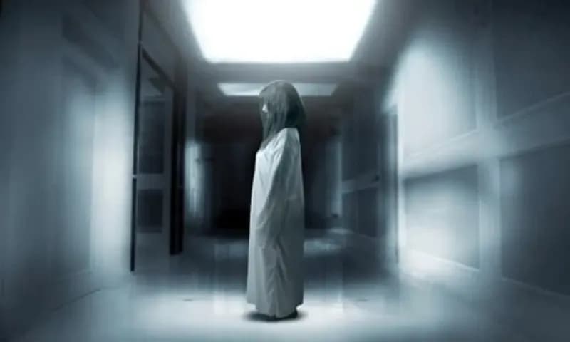 Hantu Terseram di Dunia (Foto: ilustrasi hantu/tedas.id)