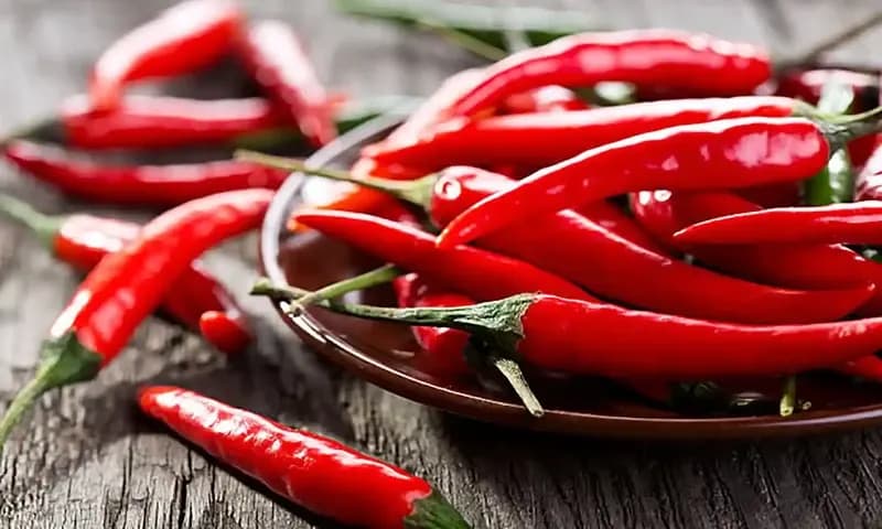 Cabai rawit dan cabai merahÂ mengalami kenaikan pada awal November 2023 ini. (Foto: Istock/Nitrub)
