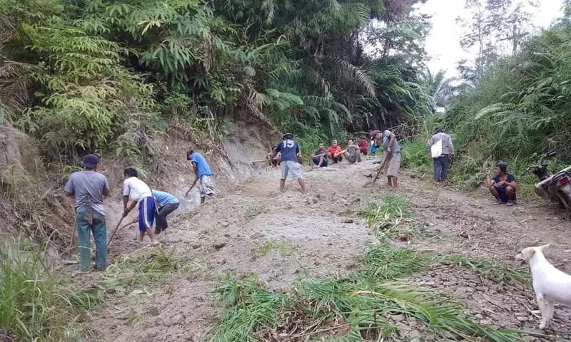 Tradisi Haroan Bolon (tenaga dibayar tenaga) yang hingga kini masih diterapkan para petani di Dusun Bornoh, Desa Siporkas, Kabupaten Simalungun. (Foto: PARBOABOA/Patrick)