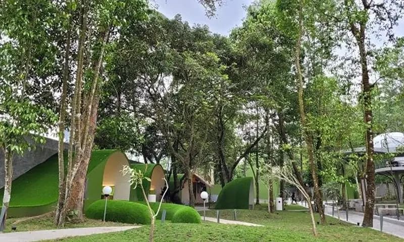 HeHa Forest Kaliurang, Yogyakarta, (Foto: Google Maps/Ang Tek Khun)