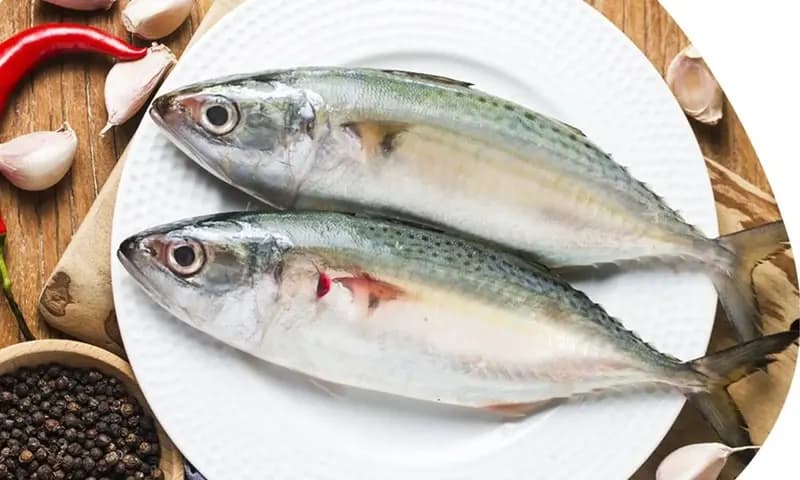 Resep Ikan Kembung (Dok : fish.qa)