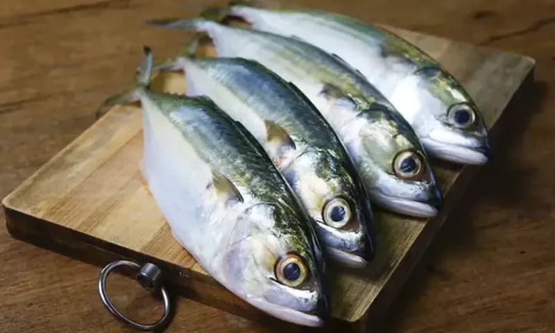 Mengenal ikan kembung lengkap dengan manfaatnya (Foto: KlikDokter)