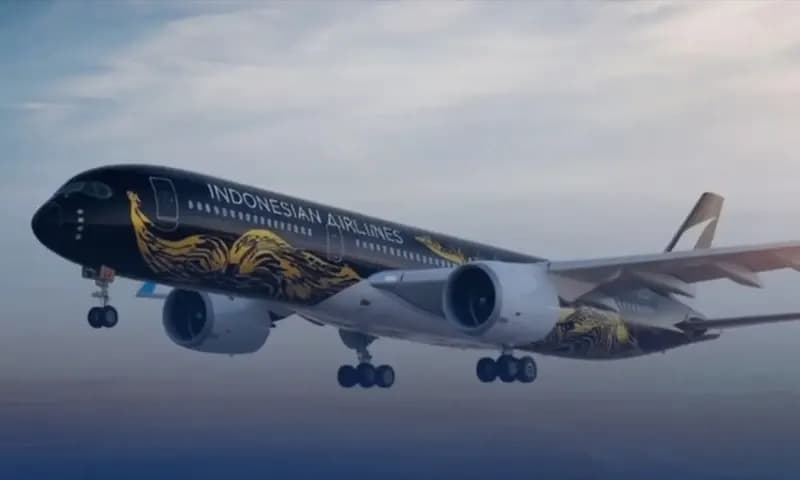 PT Indonesia Airlines Holding belum dapat menjalankan layanan penerbangan. (Foto: Adobe Stock/Dong Nhat Huy)