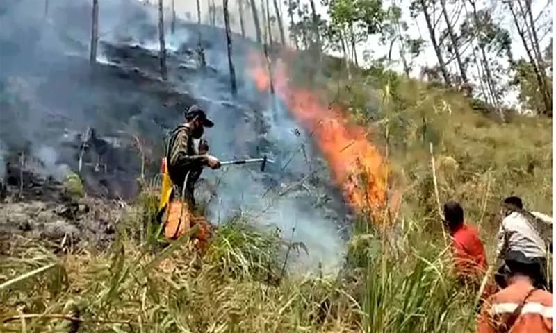 Kebakaran hutan dan lahan pada hutan lindung di sekitar pinggiran Danau Toba. (Foto: Dokumentasi BPBD Simalungun)