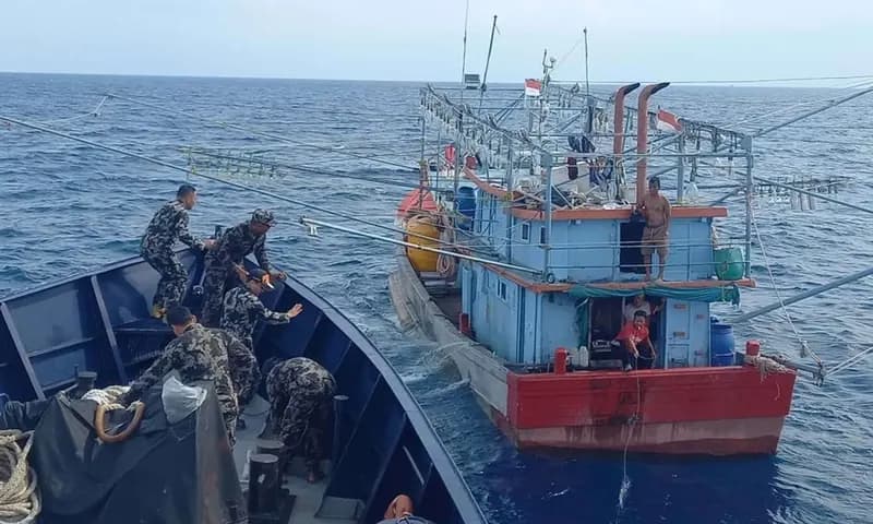 Kementerian Kelautan dan Perikanan (KKP) telah menertibkan sebanyak sembilan kapal ikan Indonesia (KII) yang diduga melakukan pelanggaran ketentuan perizinan berusaha di perairan Batam, Belawan, dan Makassar. (Foto: KKP)
