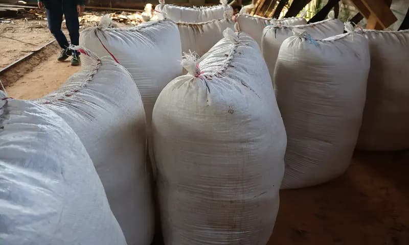 Tumpukan serbuk gergaji sebelum dikemas dalam karung plastik. (Foto: PARBOABOA/Anna Desliani)