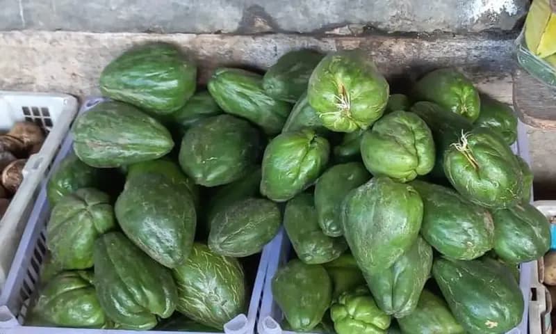 Labu siam (Foto: Parboaboa/Ratni)