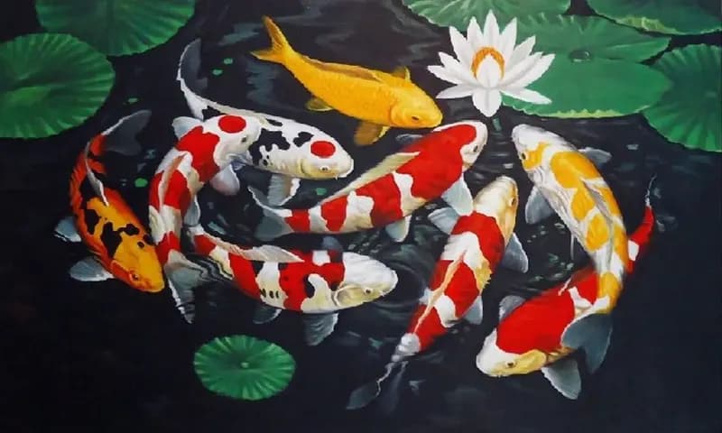 Lukisan ikan koi, foto: Rumah123.com