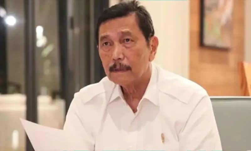 Ketua Dewan Ekonomi Nasional (DEN) Luhut Binsar Pandjaitan. (Foto: Dok. Antara).
