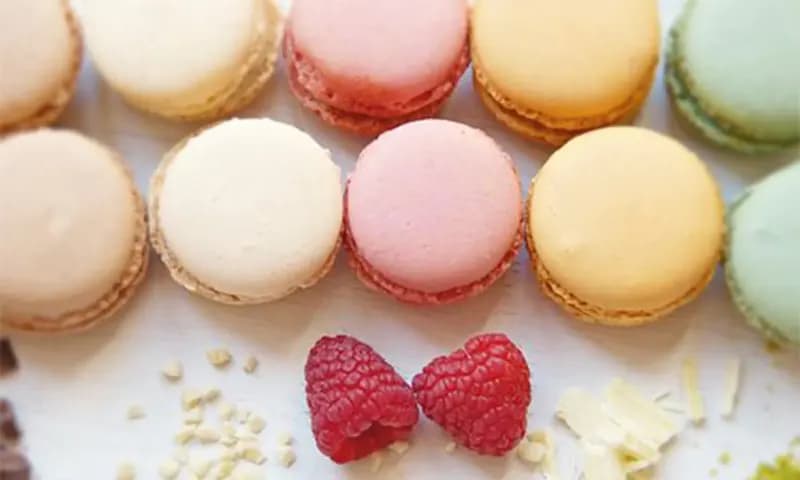 Sejarah macaron dan resepnya (Foto: Pixabay)