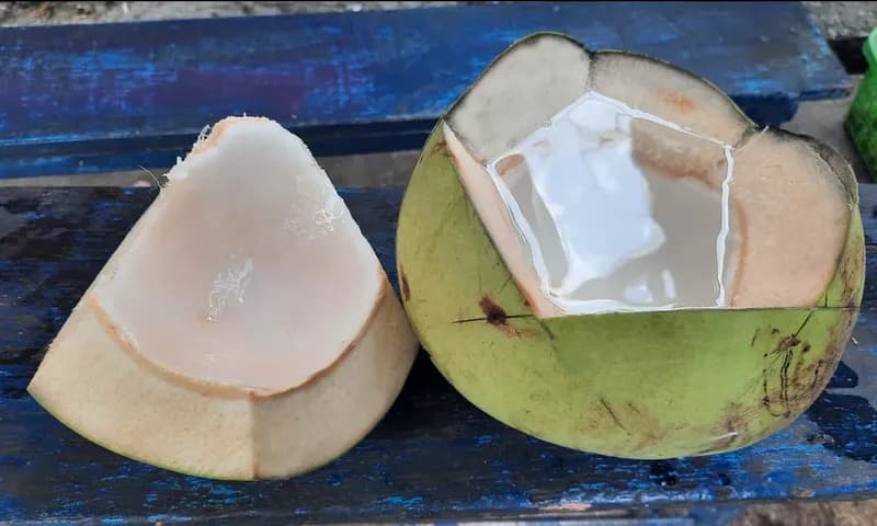 Manfaat Air Kelapa Muda untuk Kesehatan (Dok.Parboaboa)