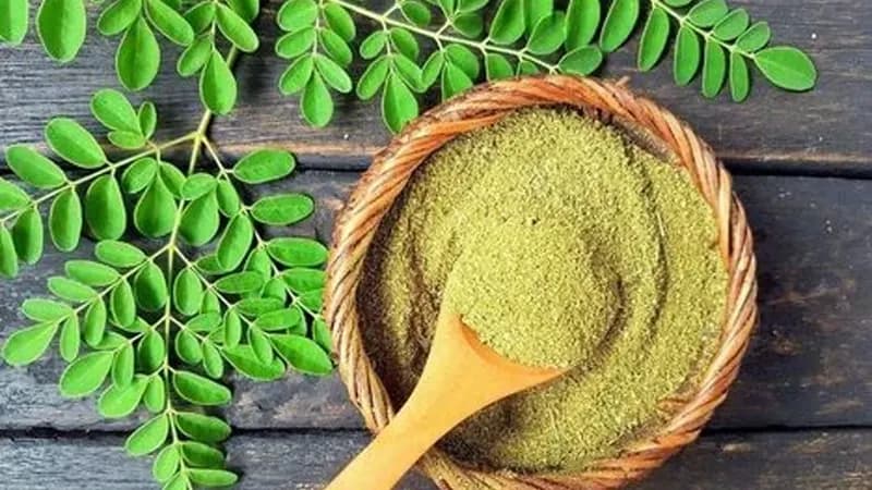 Manfaat daun kelor (Foto: Orami Photo Stock)