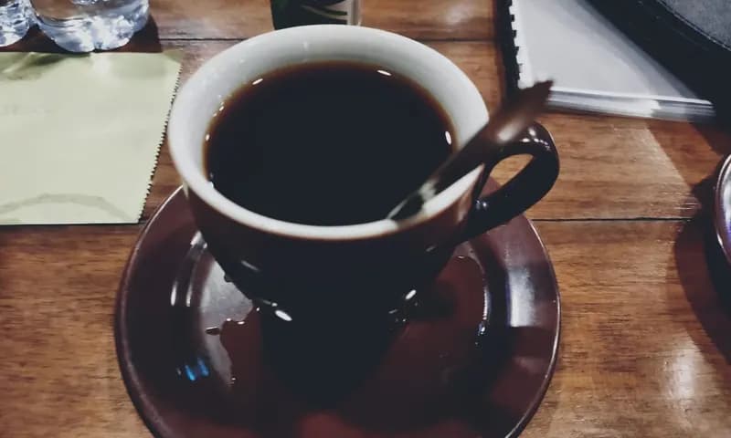 Manfaat Kopi Hitam Setiap Hari (Foto: Parboaboa/ Lamsari)