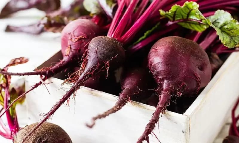 Buah bit mengandung banyak vitamin dan mineral yang baik untuk tubuh