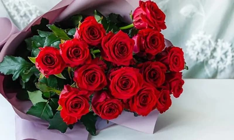 Mawar merah untuk hadiah Valentine (dok Istimewa)